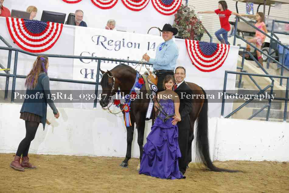 Proof Number 15R14_03947