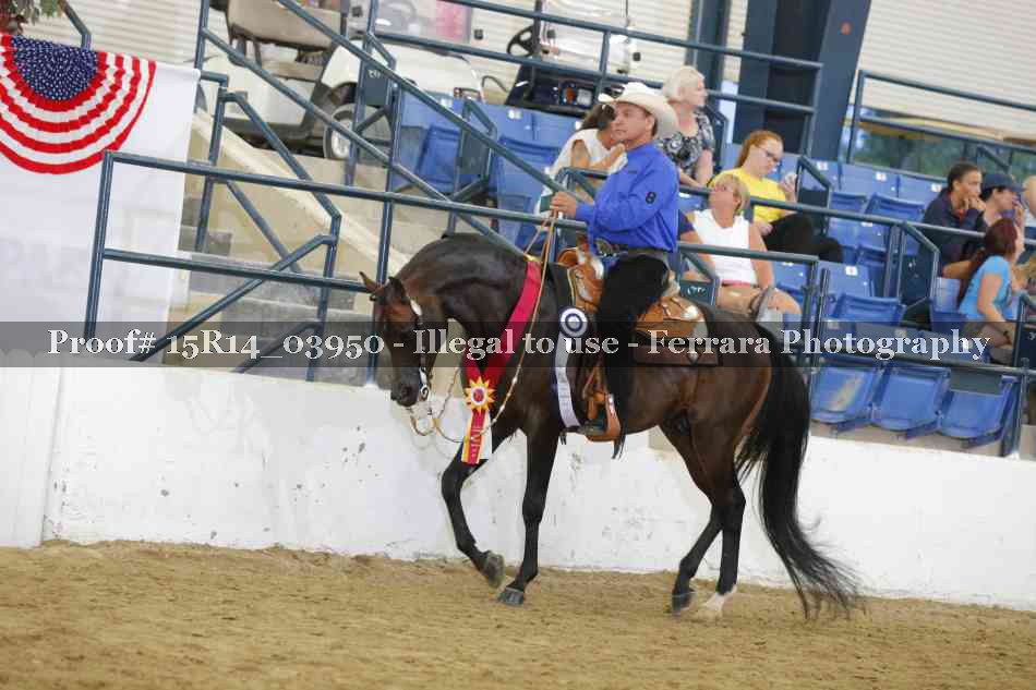 Proof Number 15R14_03950