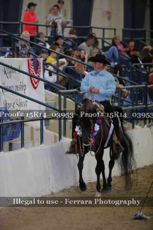 Proof Number 15R14_03953