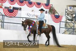 15R14_03961 thumbnail
