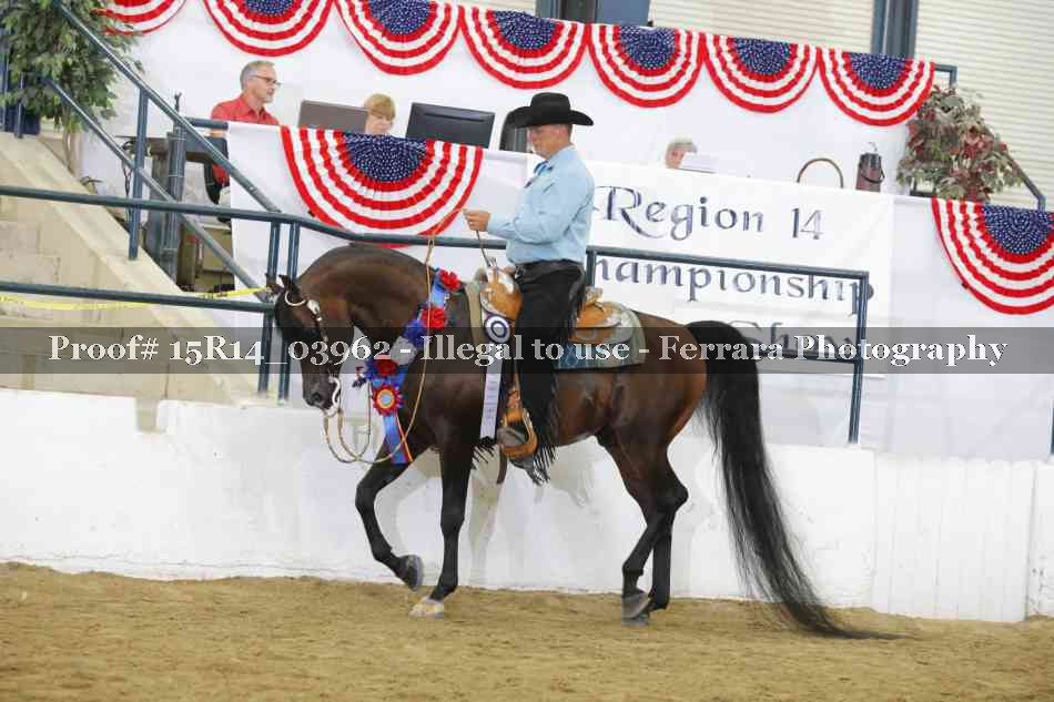 Proof Number 15R14_03962