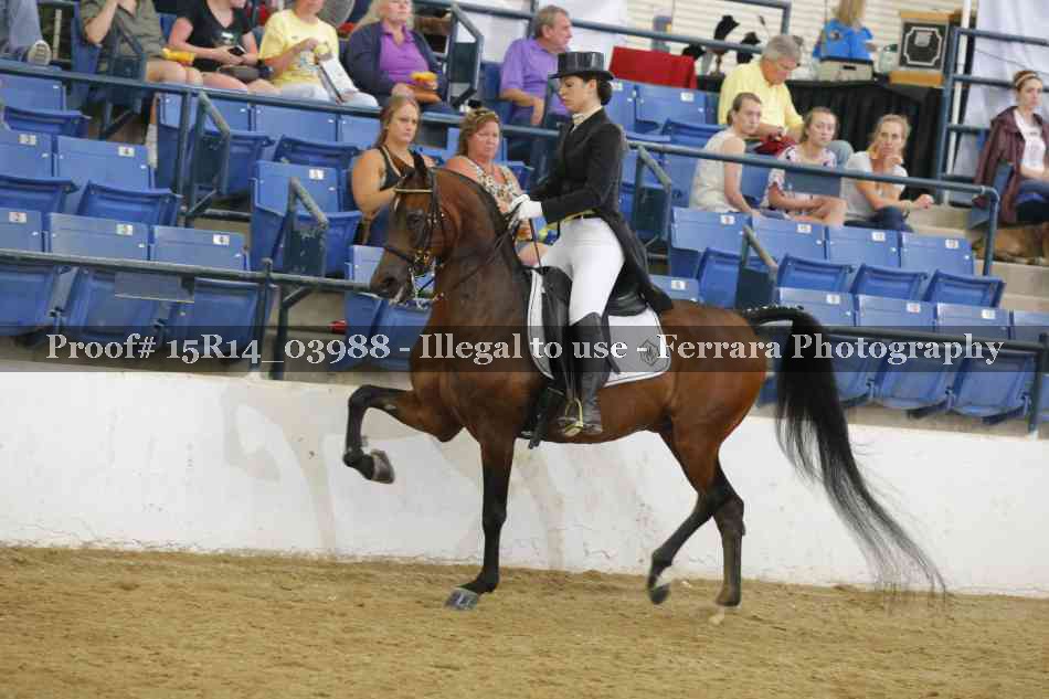 Proof Number 15R14_03988