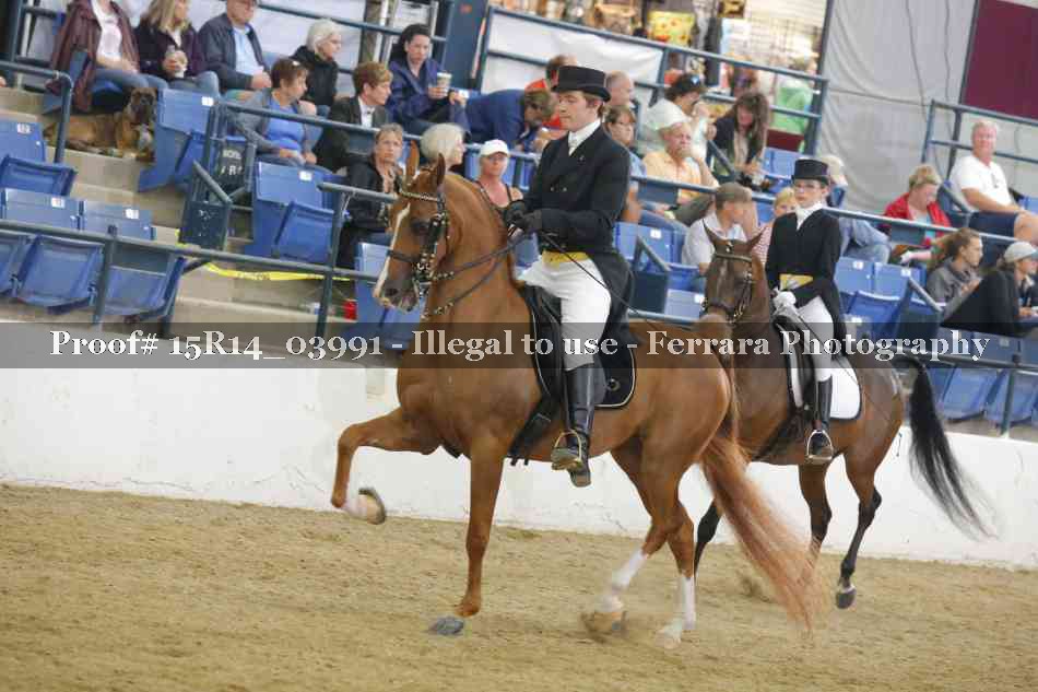Proof Number 15R14_03991