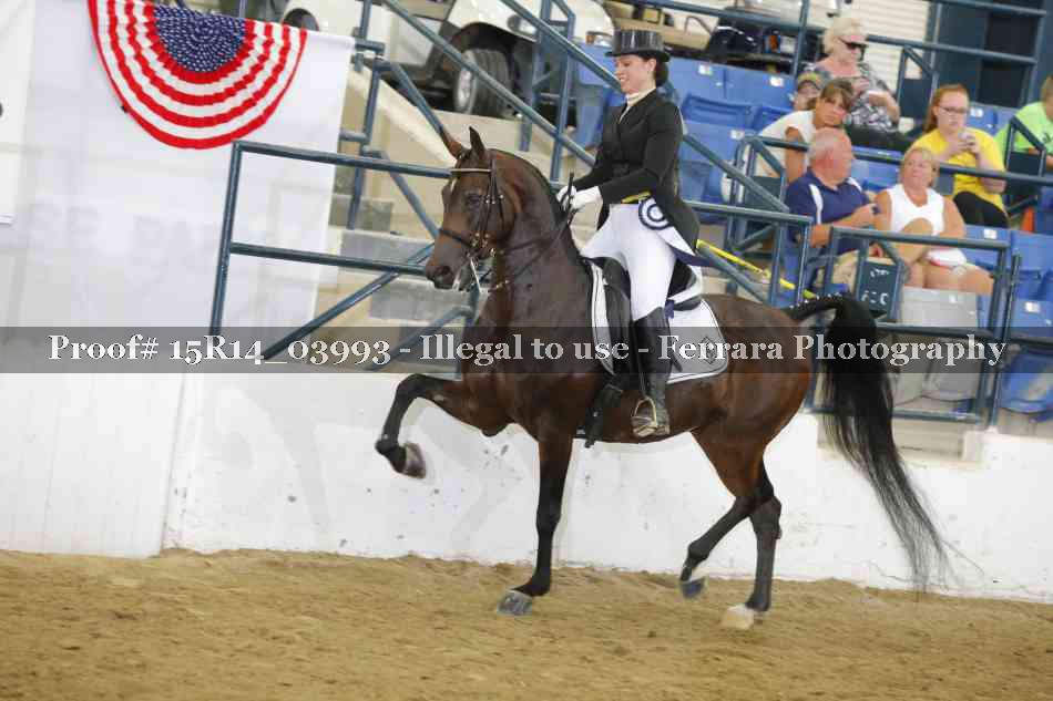 Proof Number 15R14_03993
