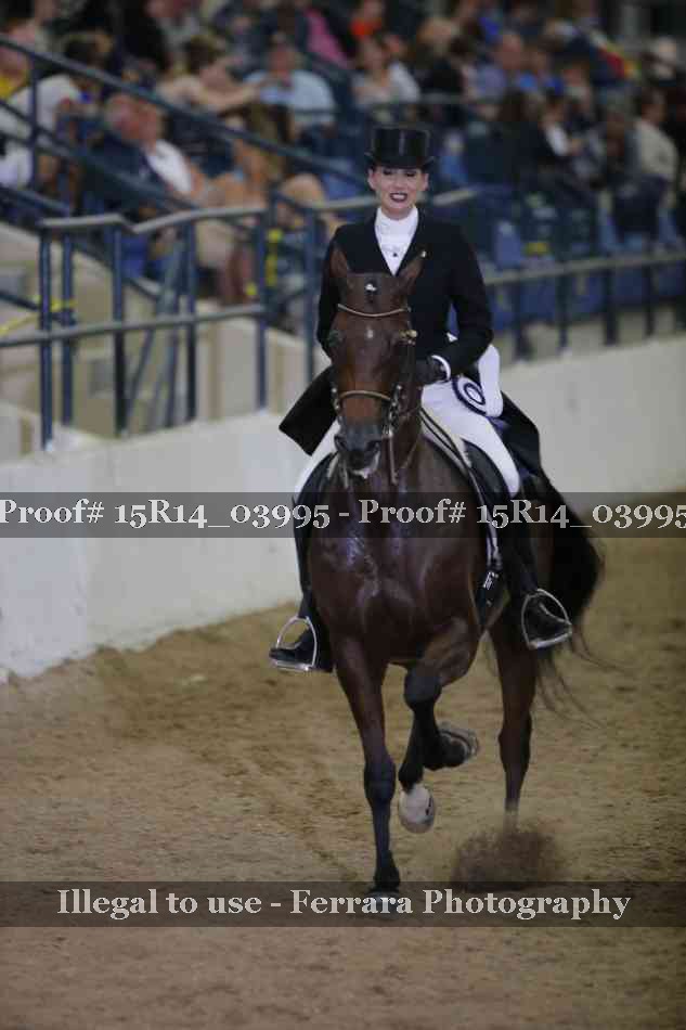 Proof Number 15R14_03995