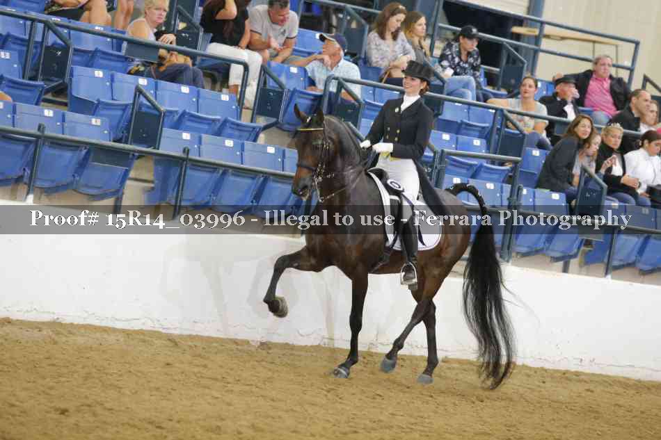 Proof Number 15R14_03996