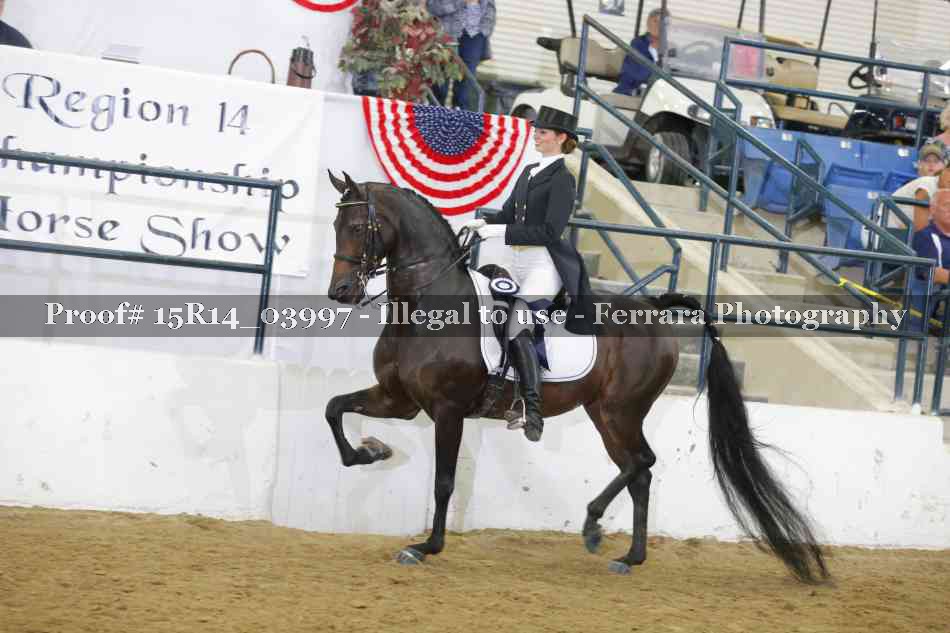 Proof Number 15R14_03997
