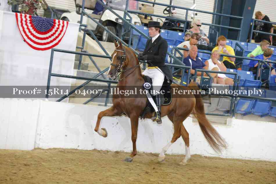 Proof Number 15R14_04007