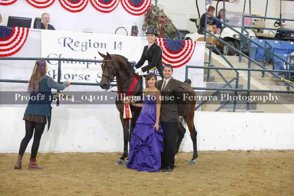 Proof Number 15R14_04011