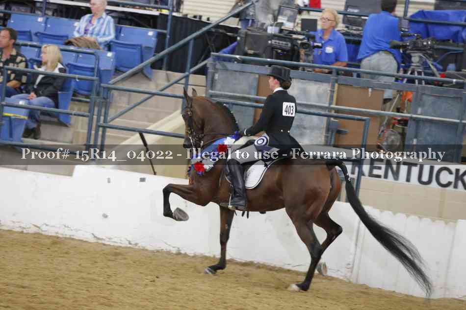 Proof Number 15R14_04022