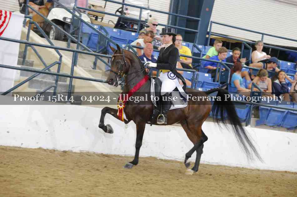 Proof Number 15R14_04024