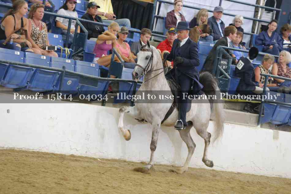 Proof Number 15R14_04034