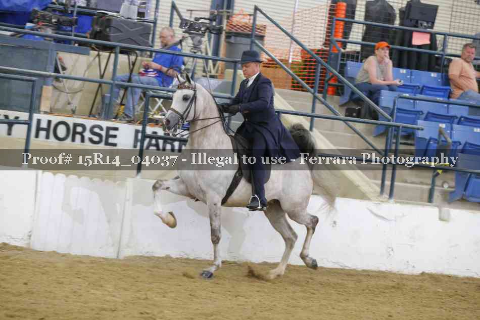 Proof Number 15R14_04037