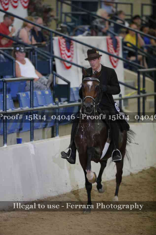 Proof Number 15R14_04046