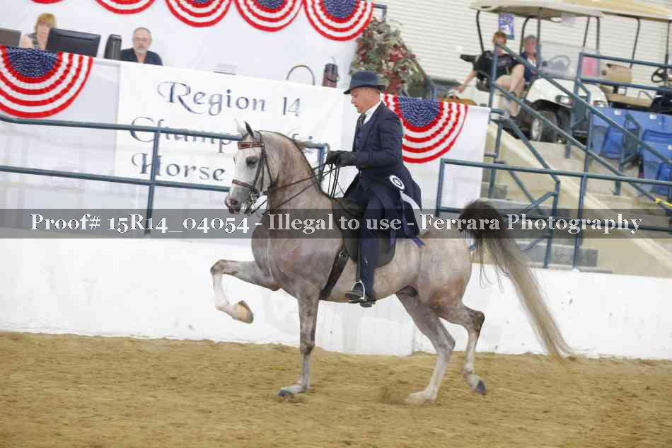 Proof Number 15R14_04054