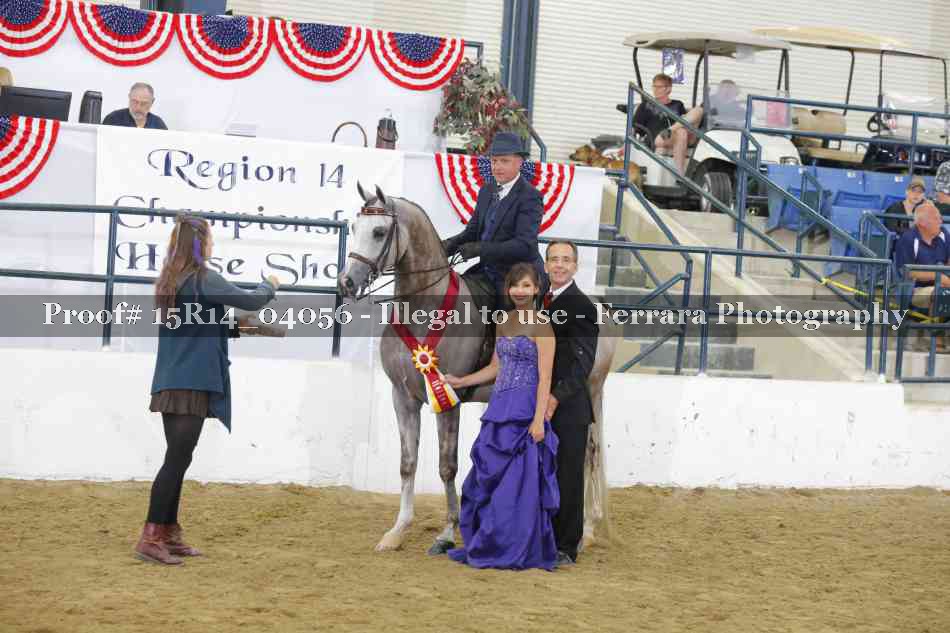 Proof Number 15R14_04056
