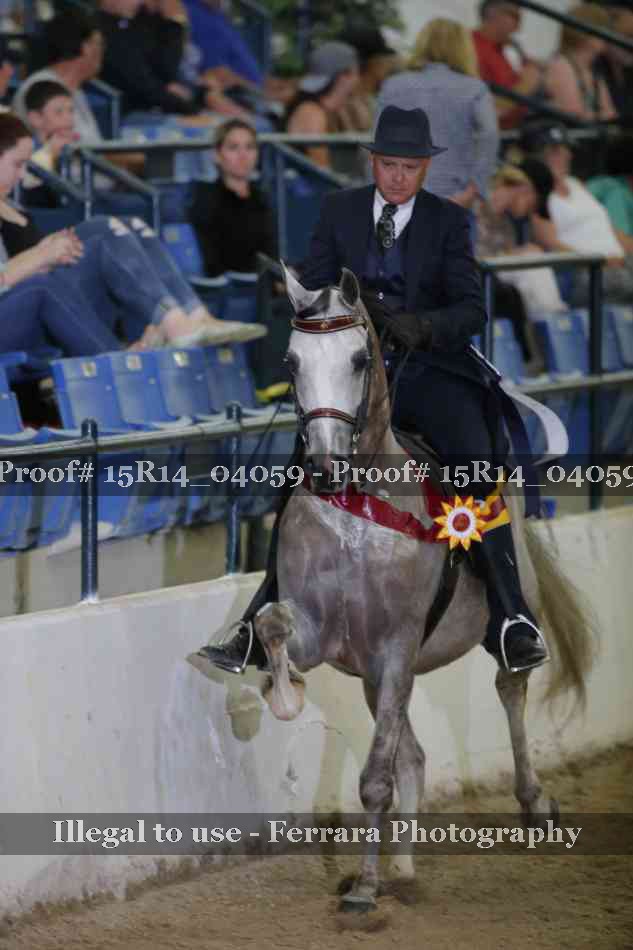 Proof Number 15R14_04059
