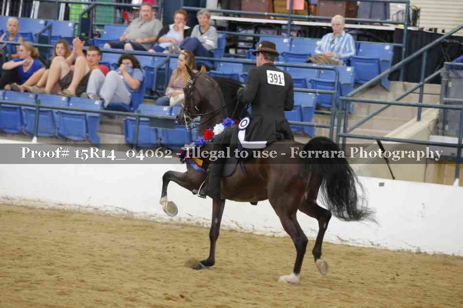 Proof Number 15R14_04062