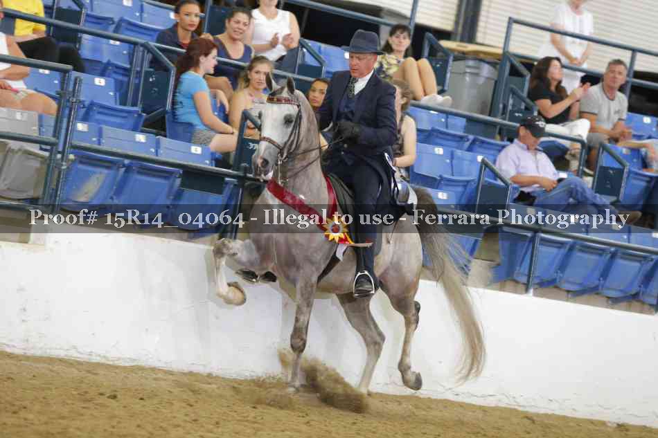 Proof Number 15R14_04064