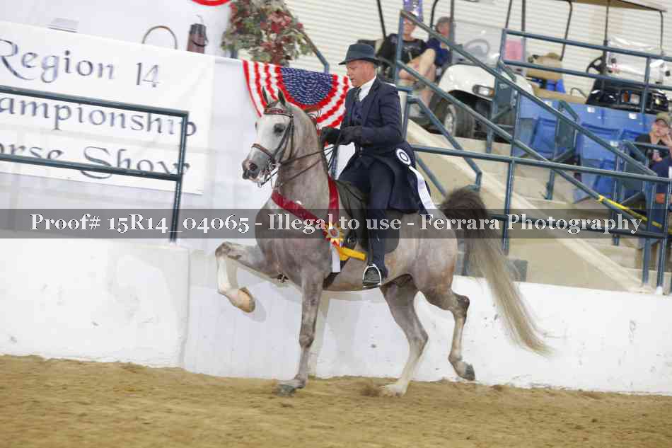 Proof Number 15R14_04065