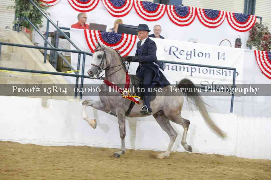 Proof Number 15R14_04066