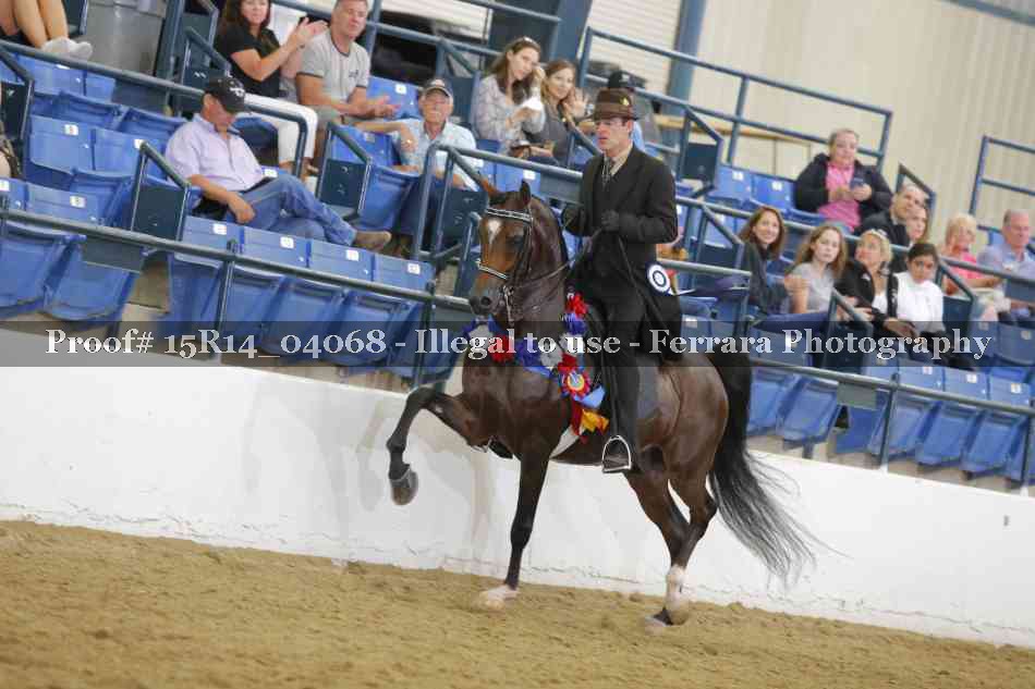 Proof Number 15R14_04068