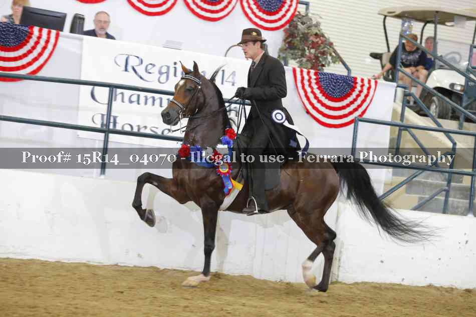 Proof Number 15R14_04070
