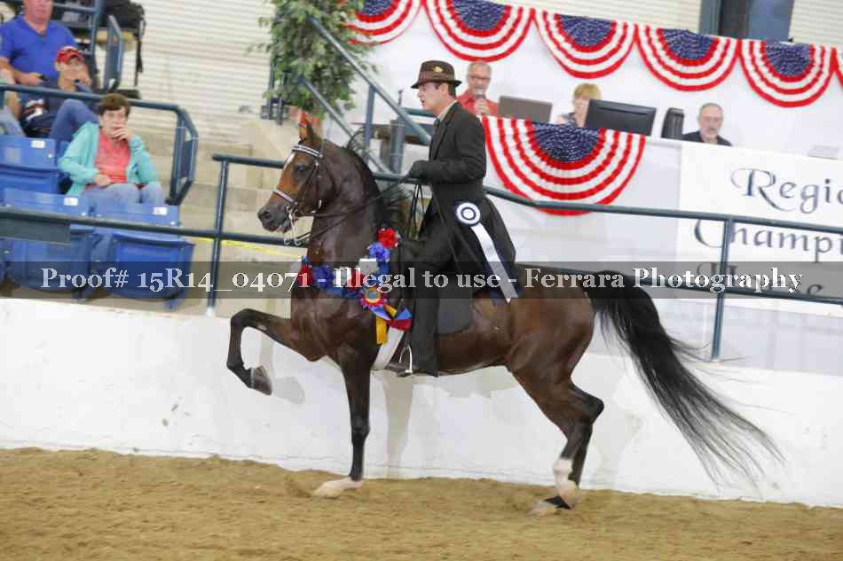 Proof Number 15R14_04071
