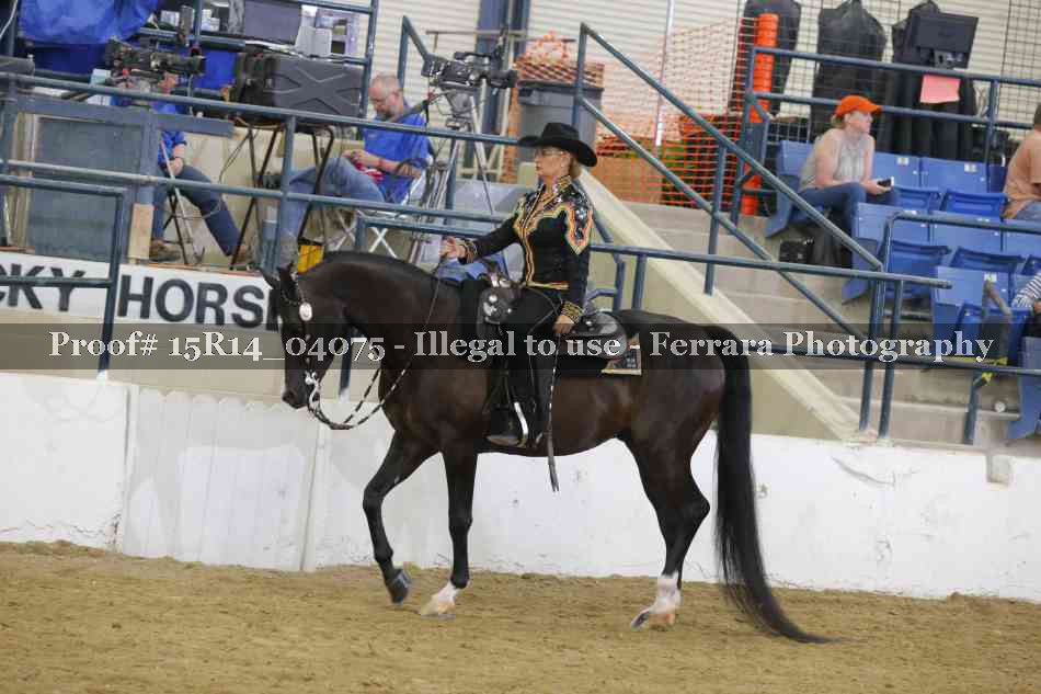 Proof Number 15R14_04075