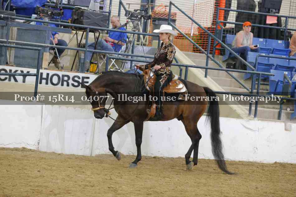 Proof Number 15R14_04077
