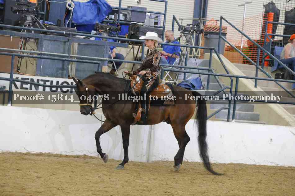 Proof Number 15R14_04078