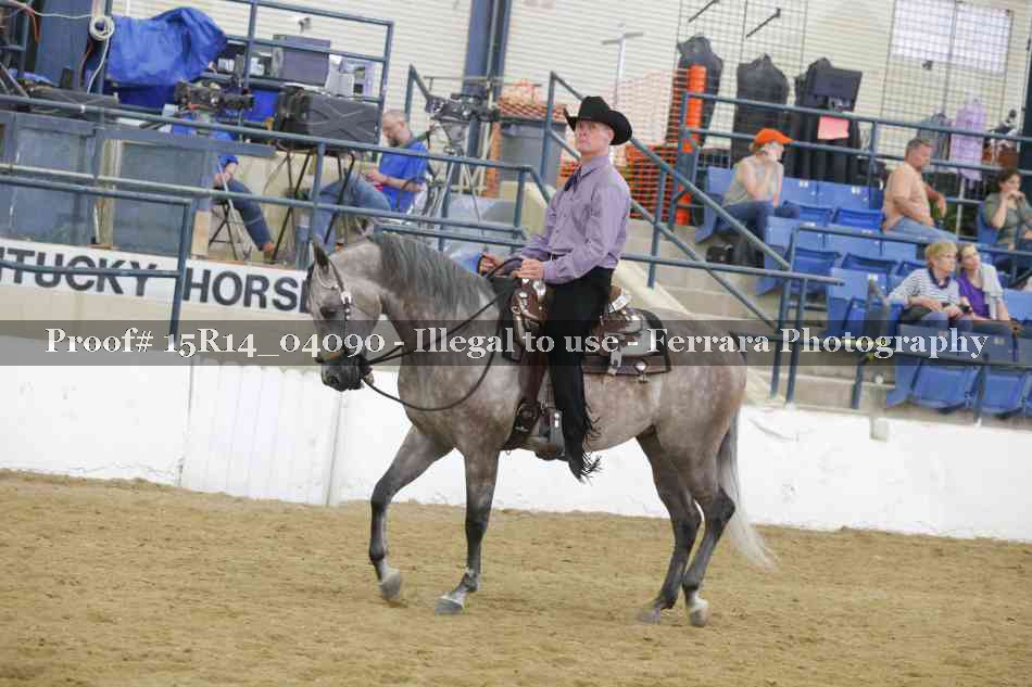 Proof Number 15R14_04090