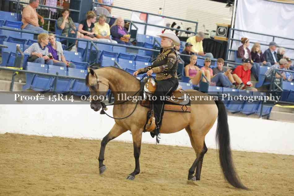 Proof Number 15R14_04091