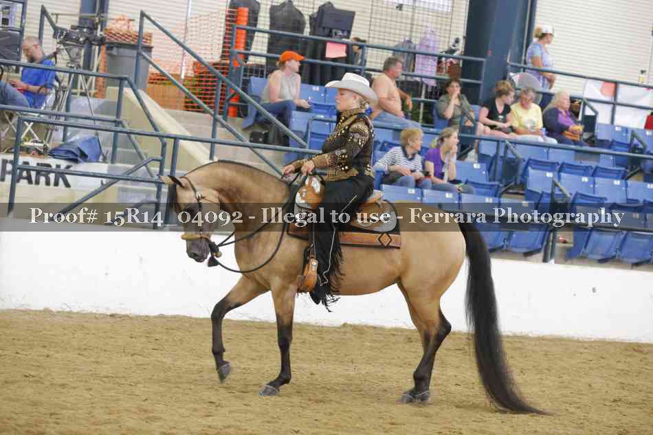 Proof Number 15R14_04092