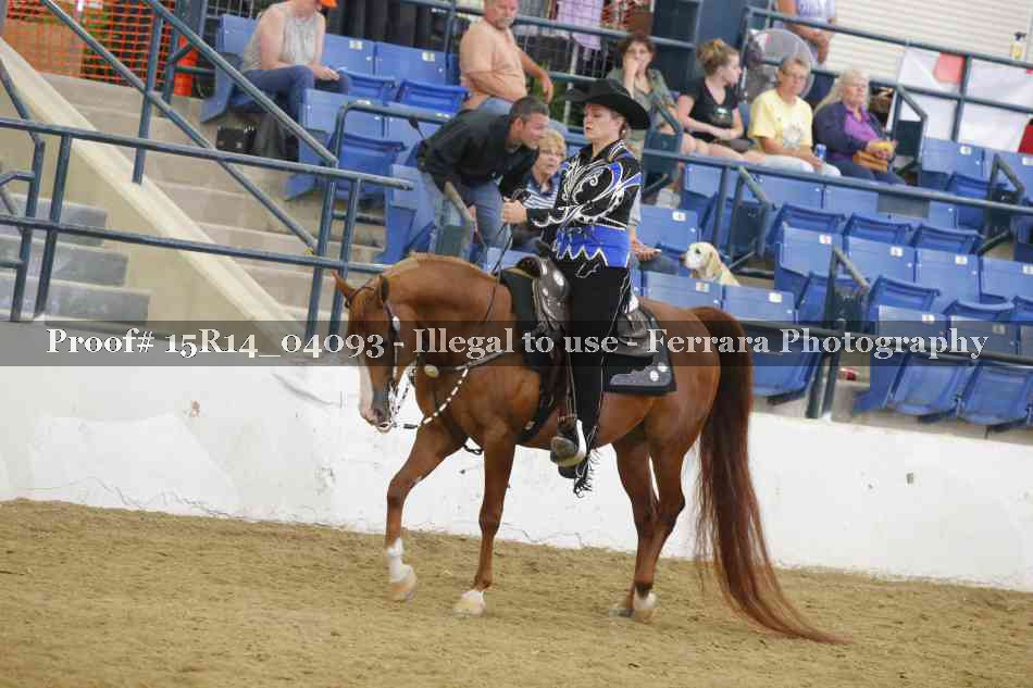 Proof Number 15R14_04093