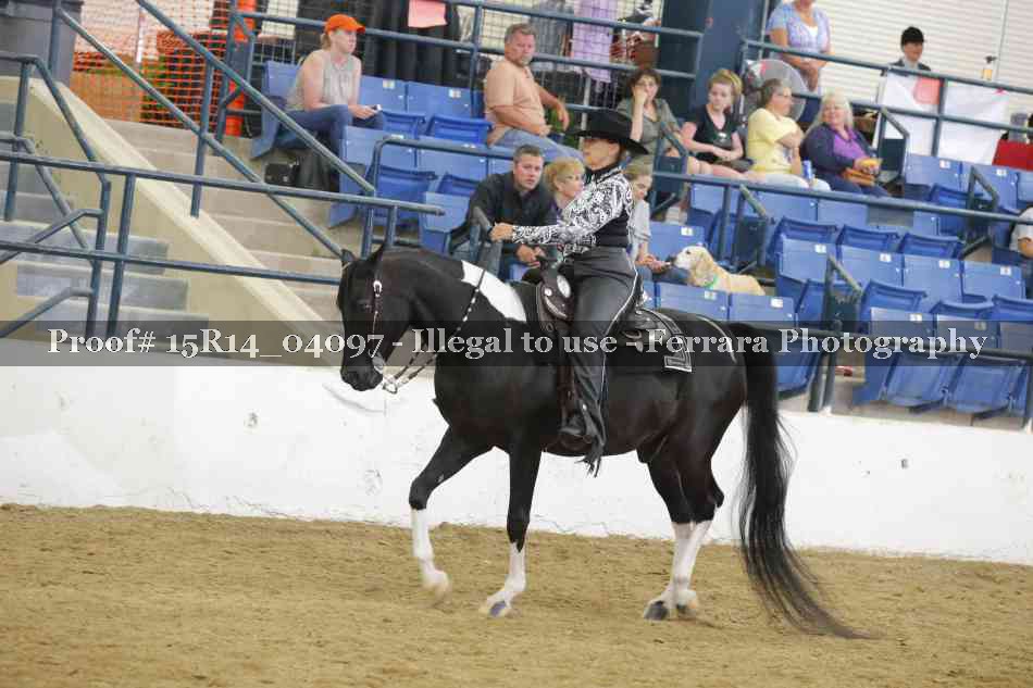 Proof Number 15R14_04097