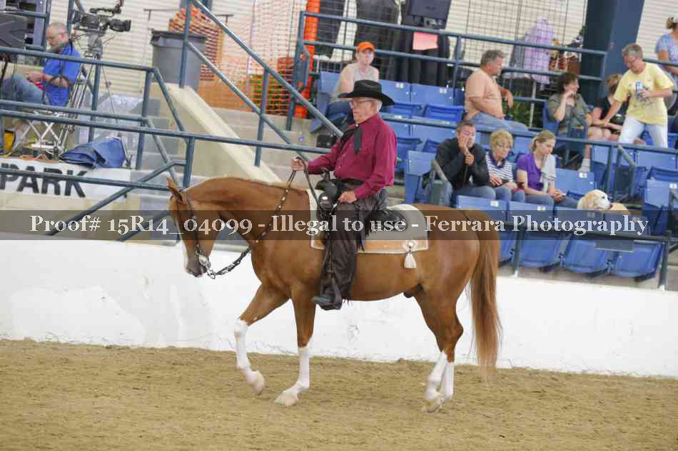 Proof Number 15R14_04099
