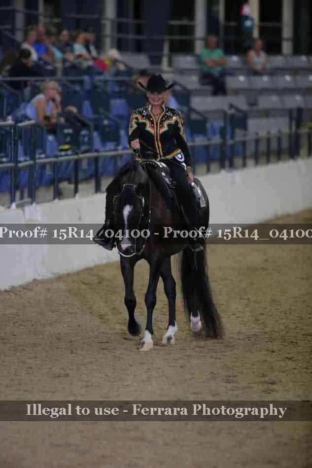 Proof Number 15R14_04100