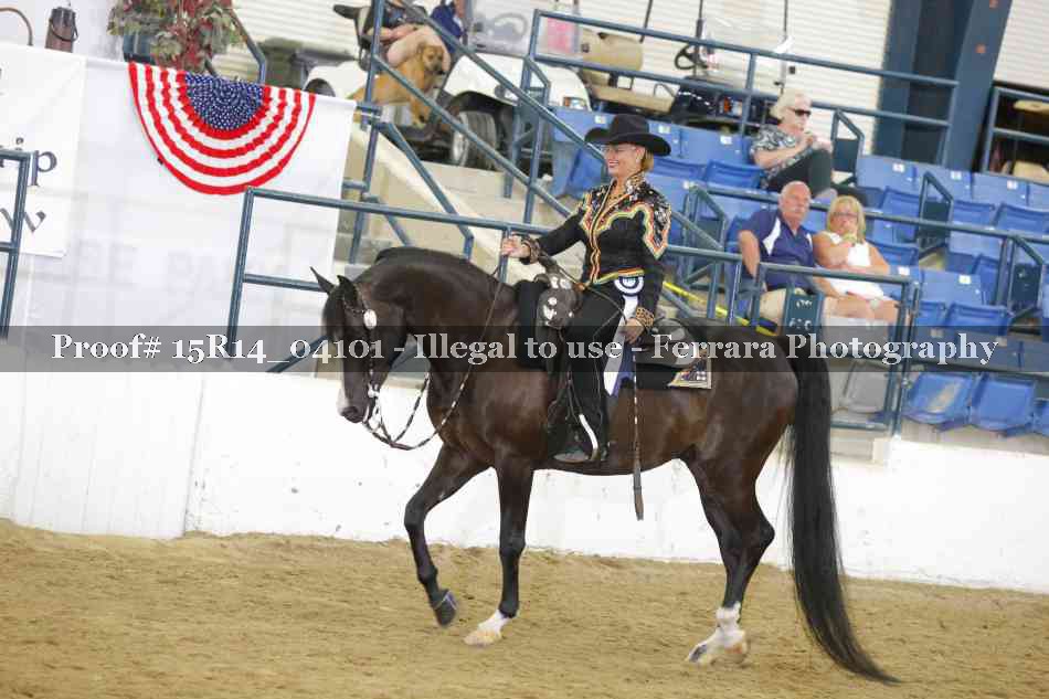 Proof Number 15R14_04101