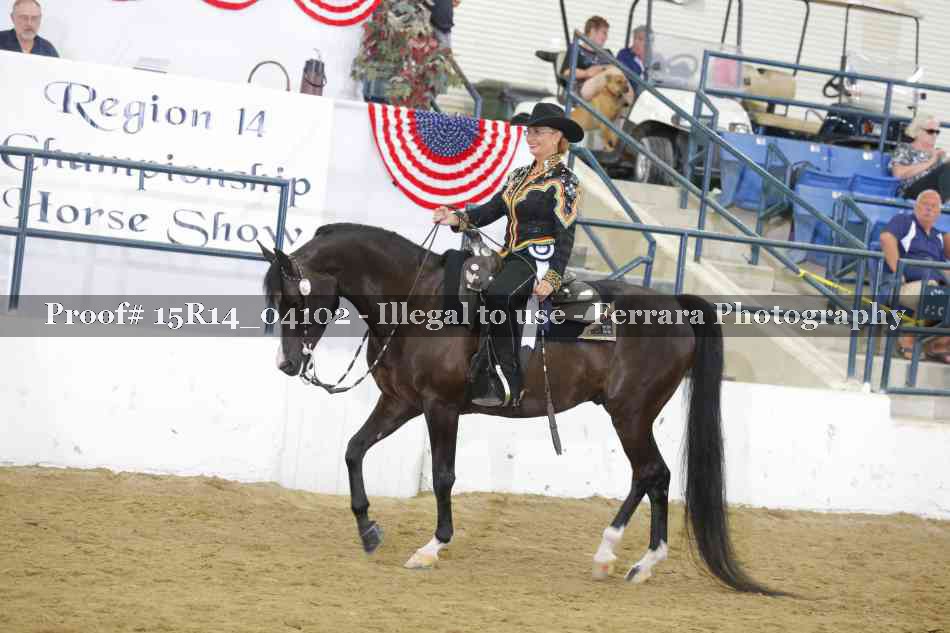 Proof Number 15R14_04102