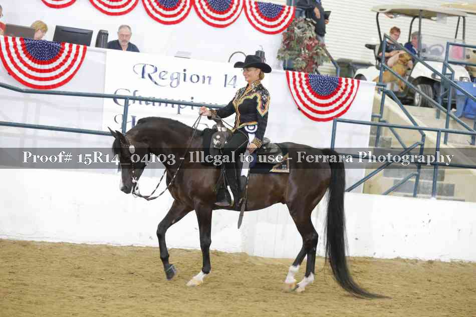 Proof Number 15R14_04103