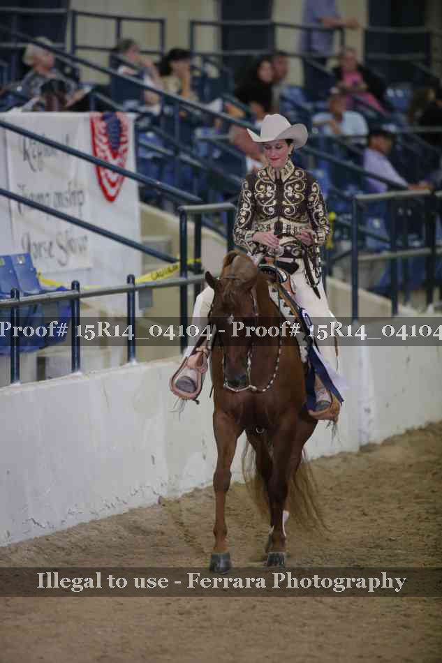 Proof Number 15R14_04104