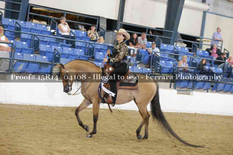 Proof Number 15R14_04108