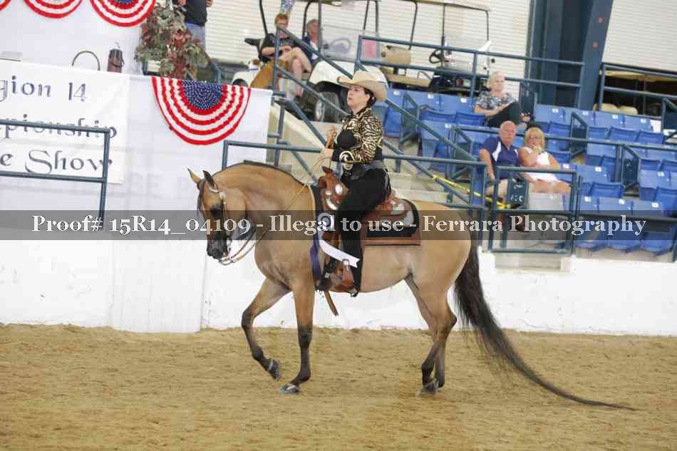 Proof Number 15R14_04109