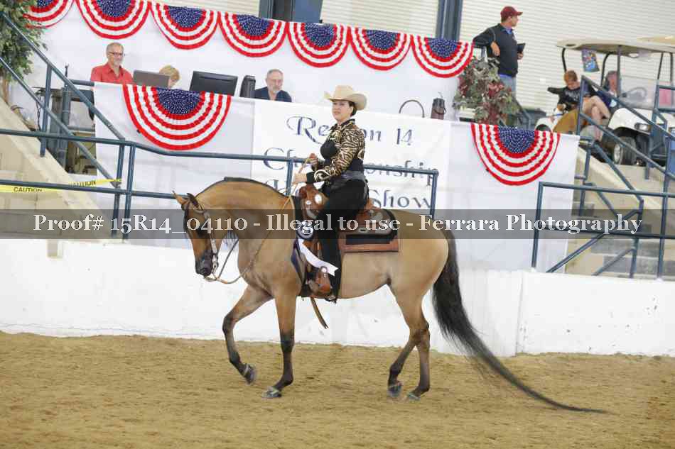 Proof Number 15R14_04110