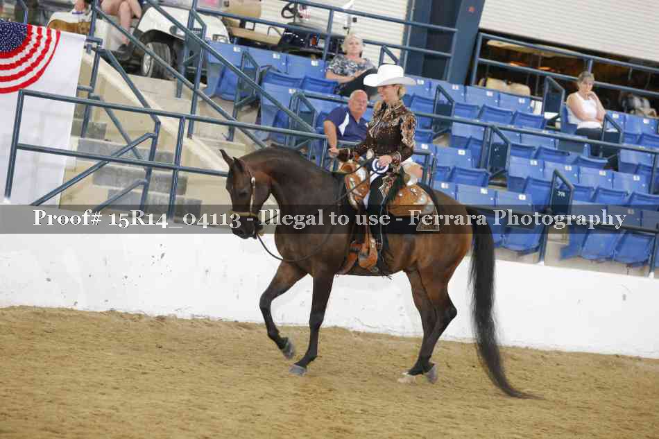 Proof Number 15R14_04113