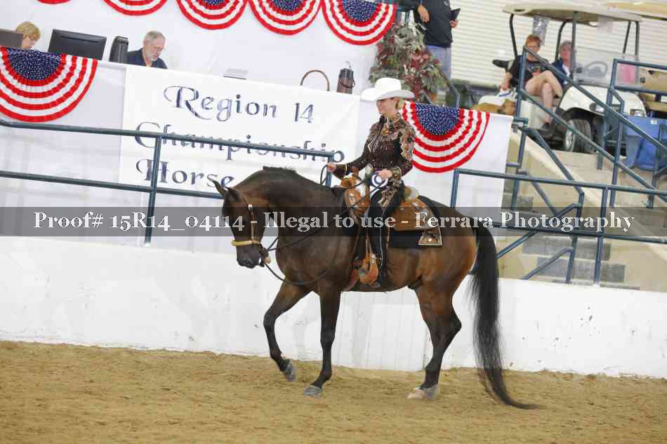 Proof Number 15R14_04114