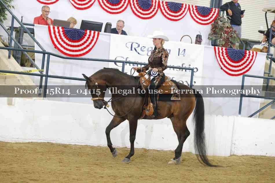 Proof Number 15R14_04115
