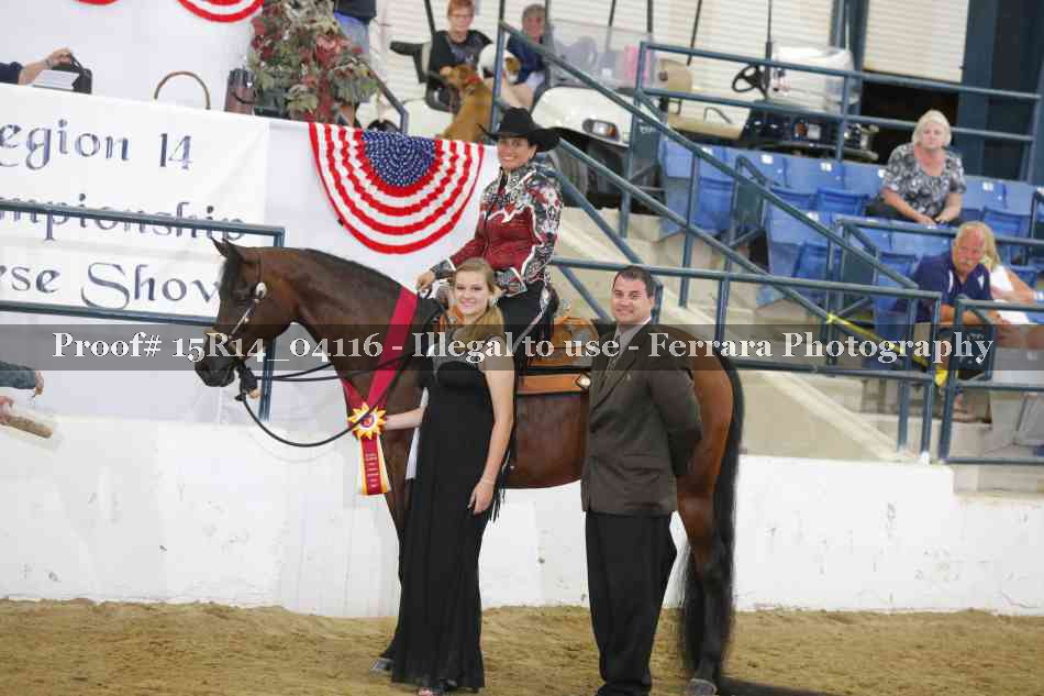 Proof Number 15R14_04116