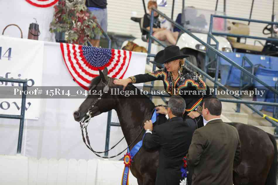 Proof Number 15R14_04124